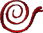 A snake with its tail curled into a spiral in red